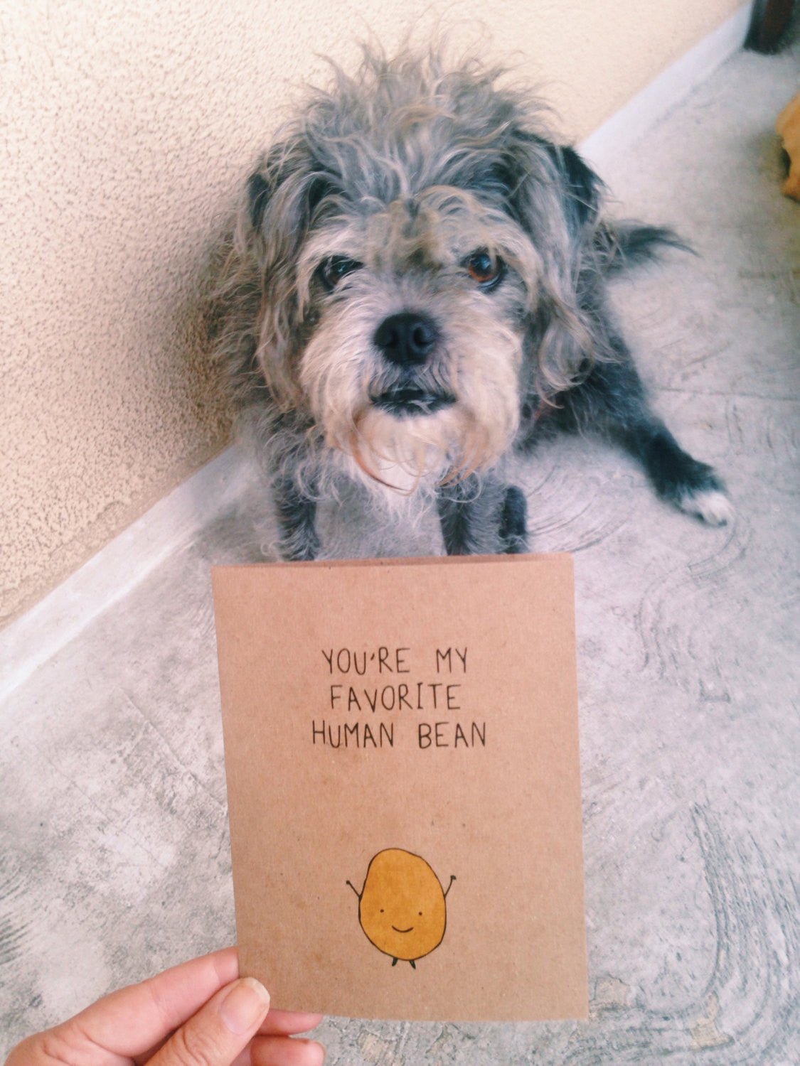 You're my favorite Human Bean Greeting Card