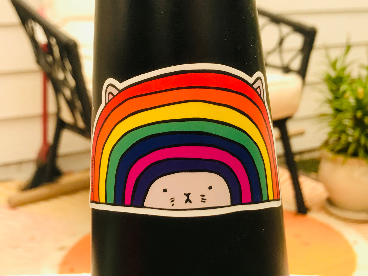 Cat Rainbow