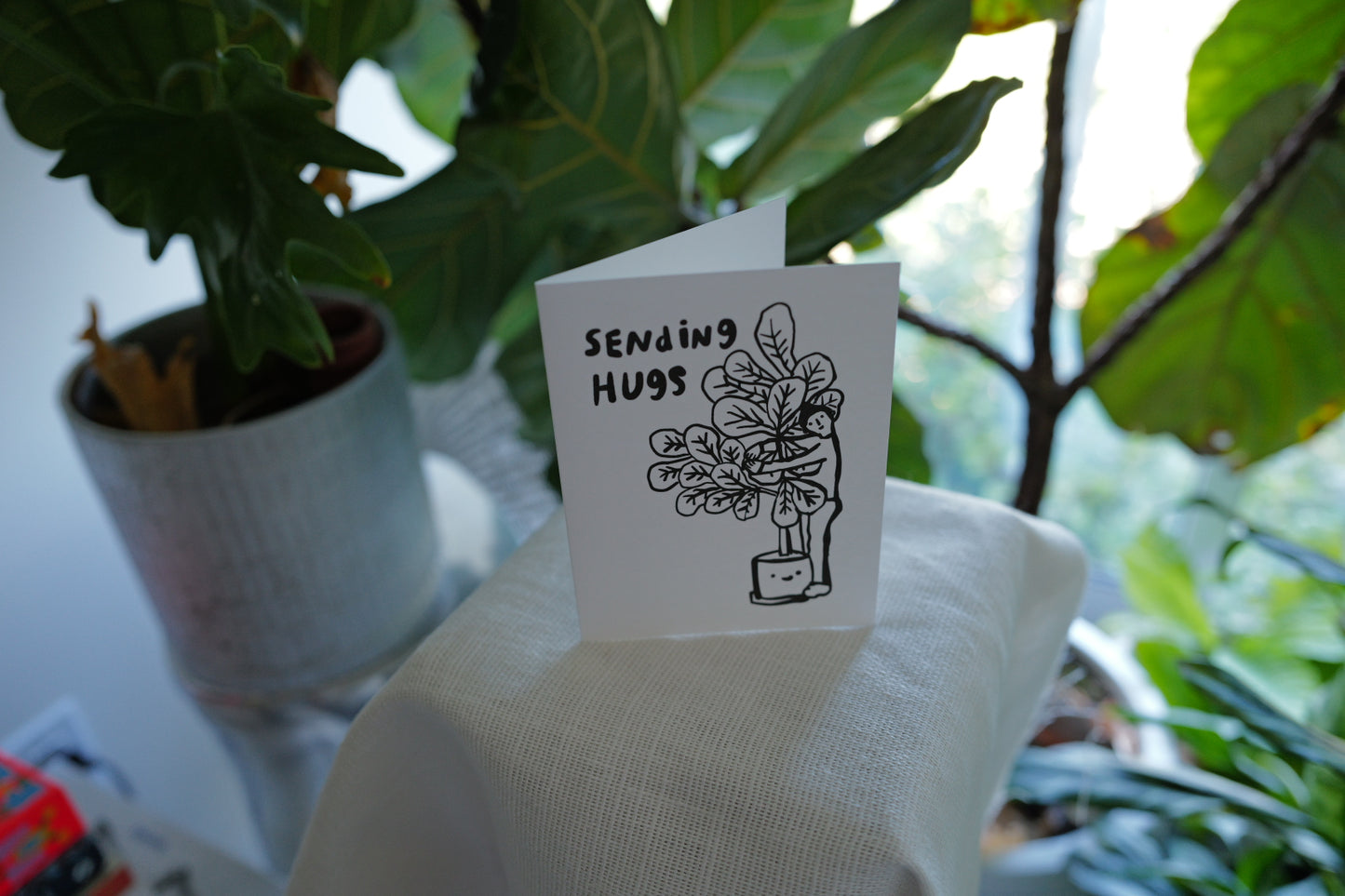 Sending hugs plant