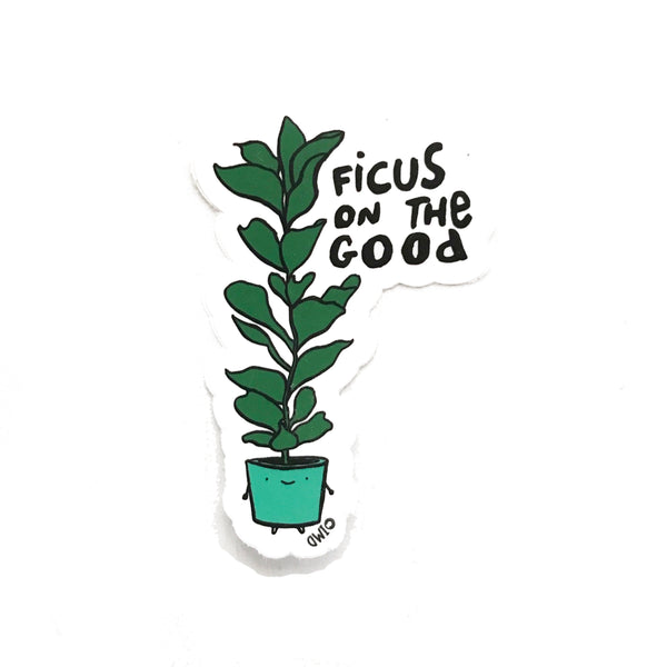 Ficus on the good