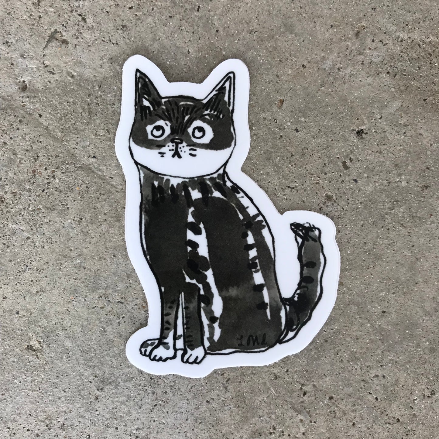 Full zorro Cat